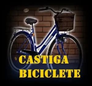 câștigători concurs timișoreana 2024 biciclete