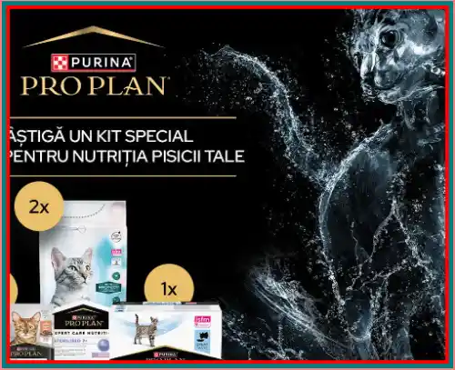 Câștigă un kit Pro Plan Purina cu hrană pentru pisici pentru 3 luni