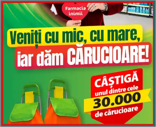 câștigători cărucioare concurs catena 2024