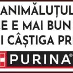 câștigă un voucher de cumpărături Carrefour de 400 lei la concursul purina