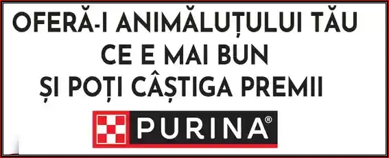 câștigă un voucher de cumpărături Carrefour de 400 lei la concursul purina